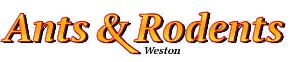 Weston Ant Exterminator & Rodent Control Company Logo
